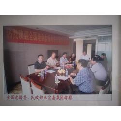 甘肃与邯郸人力资源信息咨询服务口碑与价格分析